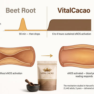 Your monitor checks every morning. Your artery walls need something that works for the 8 hours between every check.