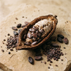 Theobromine icon